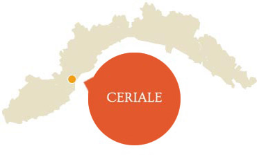 Ceriale